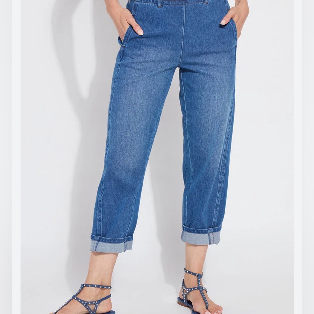 d.jeans women’s size 12 stretch high waist denim jeans